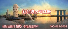 深入了解注冊(cè)新加坡公司的原因